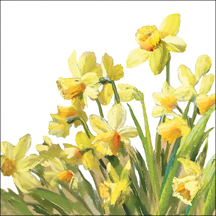 These Golden Daffodils European Decoupage Paper Napkins are of exceptional quality. 3 ply. Ideal Decoupage craft paper for Scrapbooking
