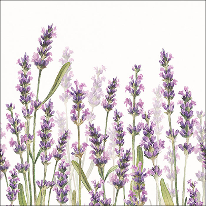 These lavender floral European Decoupage Paper Napkins are of exceptional quality. 3 ply. Ideal Decoupage craft paper for Scrapbooking