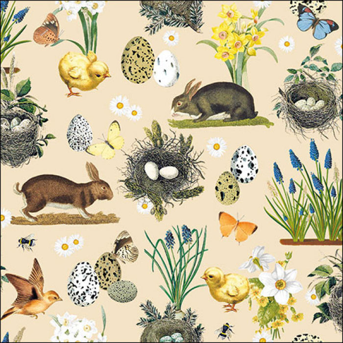 Bunnies, Eggs and chicks. These Easter Time Cream European Decoupage Paper Napkins are of exceptional quality. 3 ply. Ideal Decoupage crafts