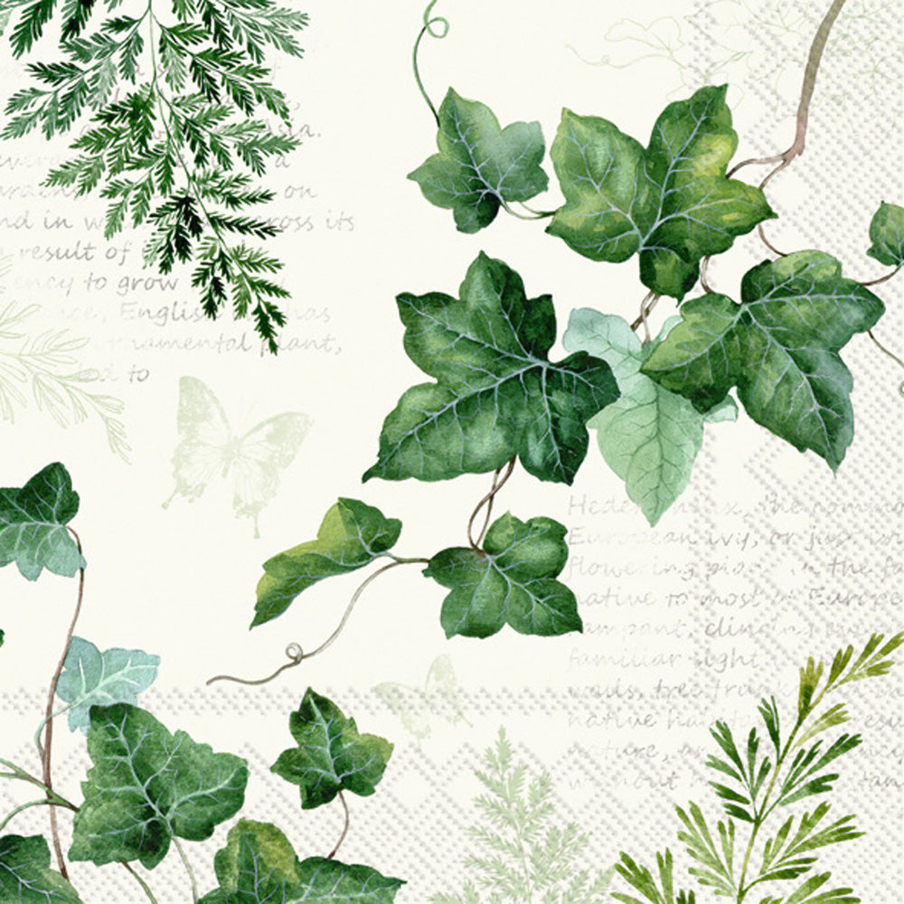 Elwin cream green ivy European Decoupage Paper Napkins of exceptional quality. 3 ply. Ideal Decoupage Paper for Collage, Scrapbooking, Mixed Media