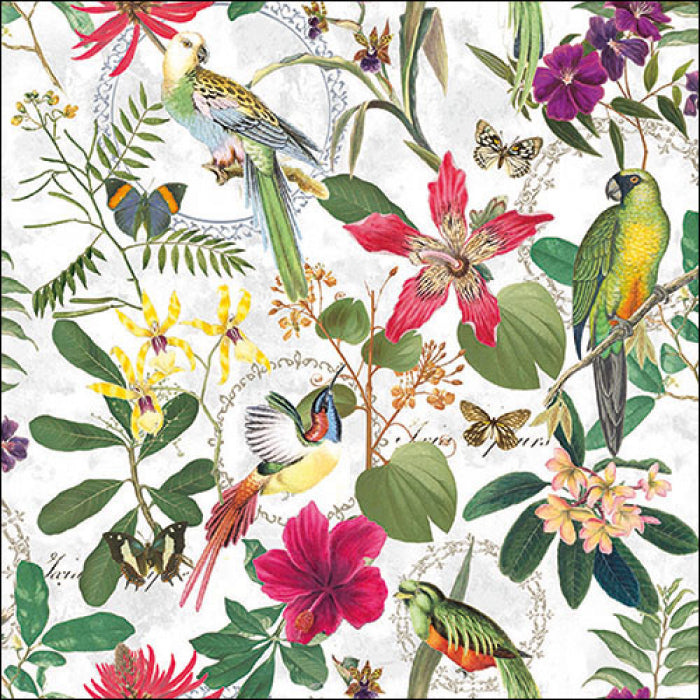 Multicolor floral with birds, parrot & butterflies. Tropical Jungle Craft Paper Napkin for Decoupage, Scrapbooking, Collage