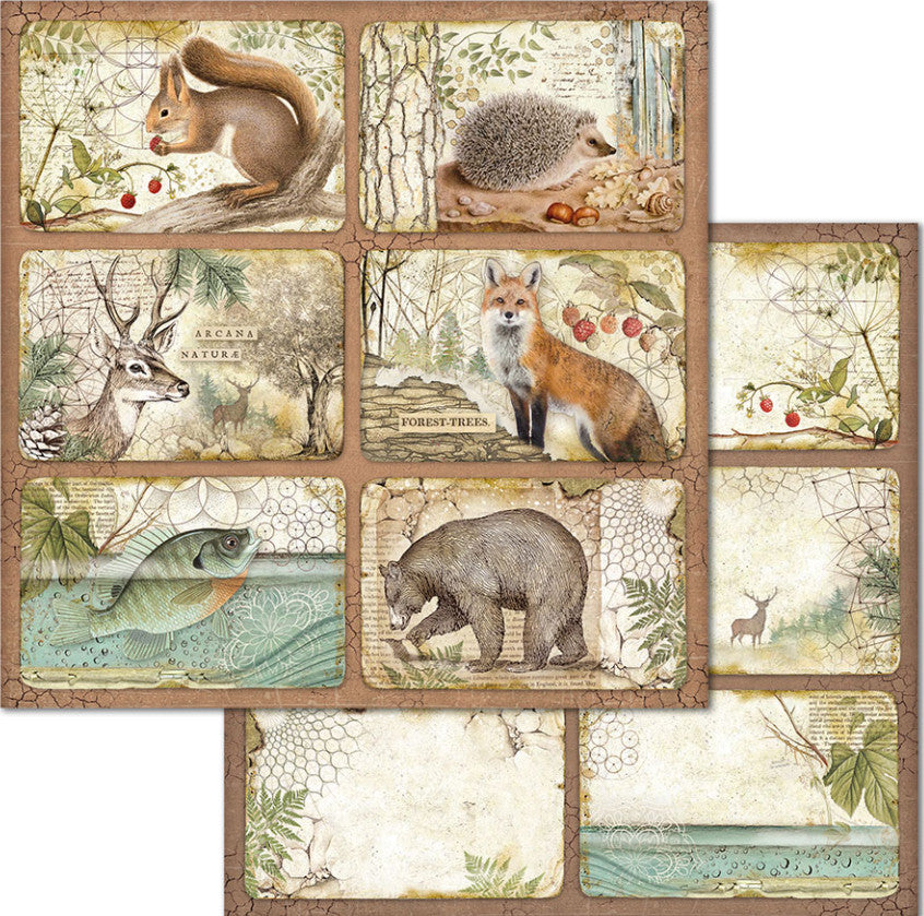 Beautiful Forest Stamperia Scrapbooking Paper Set. These beautiful high quality papers by Stamperia are themed sets with coordinating designs. They are 190g weight. Perfect for your next Decoupage Craft