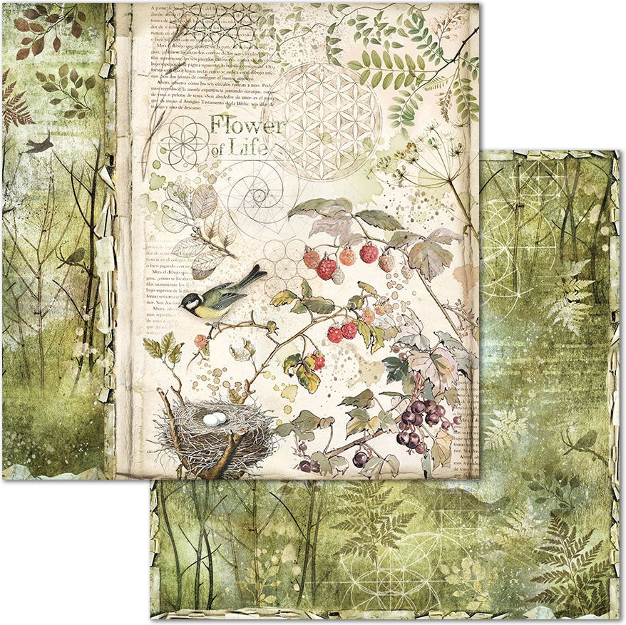 Beautiful Forest Stamperia Scrapbooking Paper Set. These beautiful high quality papers by Stamperia are themed sets with coordinating designs. They are 190g weight. Perfect for your next Decoupage Craft