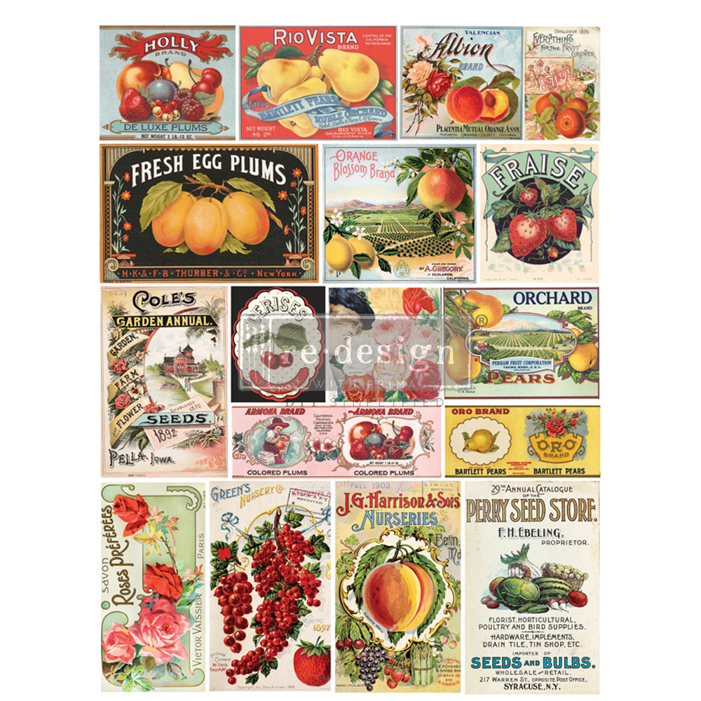 Shop Vintage Seed Kitchen Fruit ReDesign with Prima Rub on Transfer 