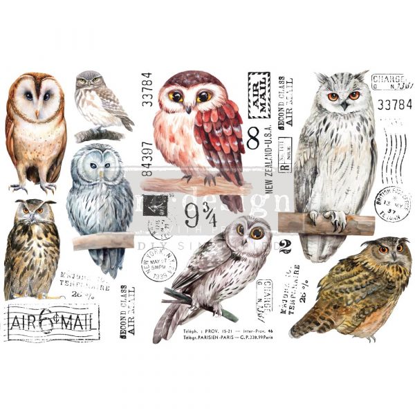 ReDesign with Prima Owl Birds Decor Transfers® are easy to use rub-on transfers for Furniture and Mixed Media uses. Simply peel, rub-on and transfer. 