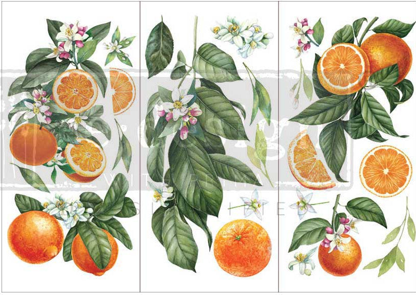 ReDesign with Prima Citrus Slice Decor Transfers® are easy to use rub-on transfers for Furniture and Mixed Media uses. Simply peel, rub-on and transfer.