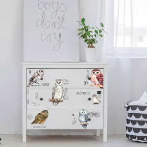 ReDesign with Prima Owl Birds Decor Transfers® are easy to use rub-on transfers for Furniture and Mixed Media uses. Simply peel, rub-on and transfer. 
