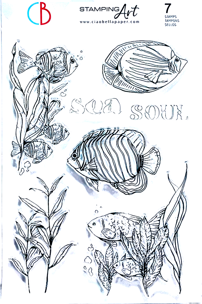 Underwater Sea Life Tropical Fish and seaweed. Shop Ciao Bella clear high quality Photopolymer Stamps.