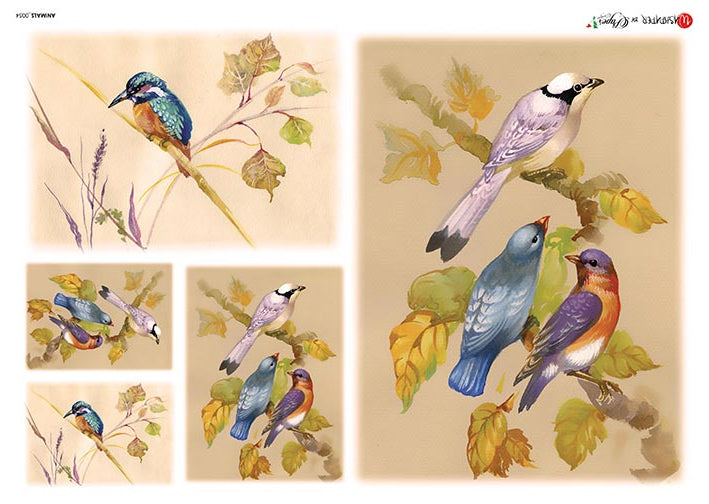Brightly colored BirdsEuropean Paper Designs Italy Rice Paper is of exquisite Quality for Decoupage art