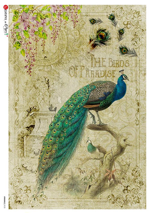 This Proud Peacock A5 Rice Paper is of Exquisite Quality for Decoupage crafts. Thin yet durable. Imported from Europe. Beautiful colors, great patterns, exceptional strength.