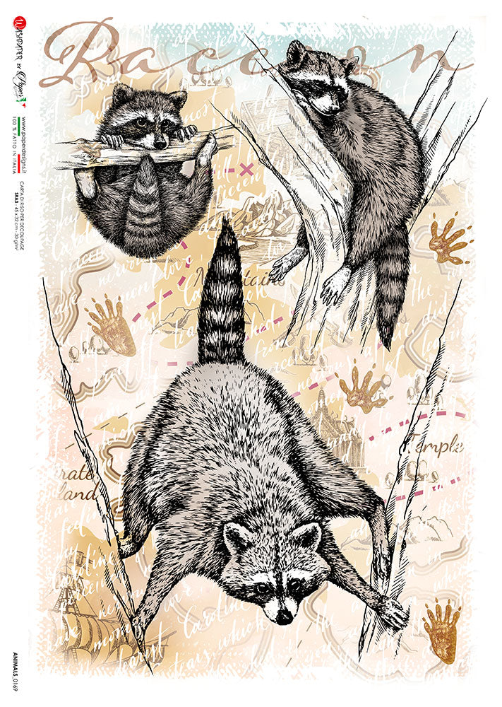 Grey and black raccoons in trees European Paper Designs Italy Rice Paper is of exquisite Quality for Decoupage art