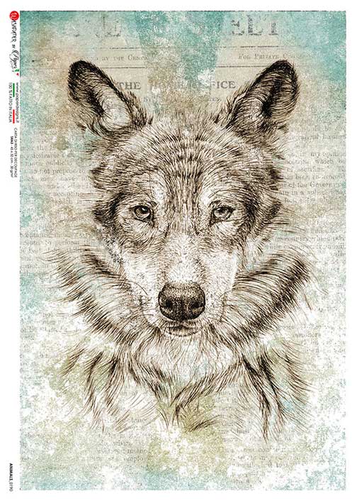 Sketch of wolf in grey European Paper Designs Italy Rice Paper is of exquisite Quality for Decoupage art