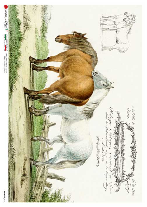 sketch of two horses in a field European Paper Designs Italy Rice Paper is of exquisite Quality for Decoupage art