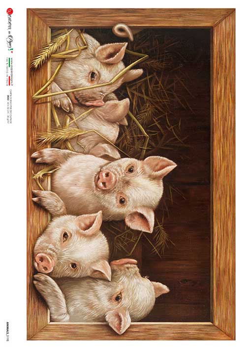 little pigs  in a box European Paper Designs Italy Rice Paper is of exquisite Quality for Decoupage art