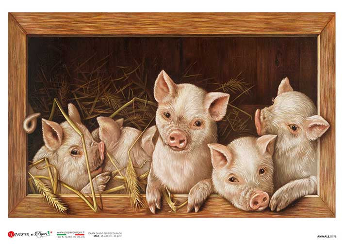 Little pigs in a box European Paper Designs Italy Rice Paper is of exquisite Quality for Decoupage art