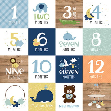 Baby Boy Months Echo Park Journaling Card, Seasonal Collection - 12"x12" Double-Sided Scrapbooking Cardstock