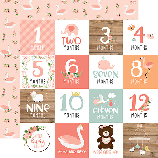Baby Girl Months Echo Park Journaling Card, Seasonal Collection - 12"x12" Double-Sided Scrapbooking Cardstock