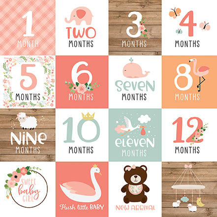 Baby Girl Months Echo Park Journaling Card, Seasonal Collection - 12"x12" Double-Sided Scrapbooking Cardstock