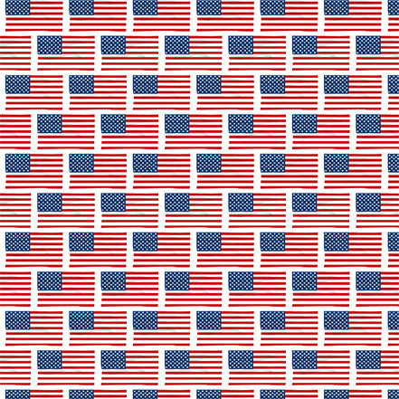 God Bless America Flags Echo Park Journaling Card, Seasonal Collection - 12"x12" Double-Sided Scrapbooking Cardstock