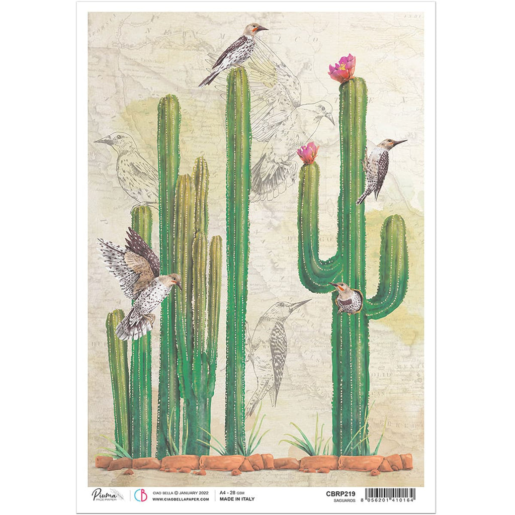 Beautiful green Cactus with birds Saguaros Ciao Bella Rice Paper are of Exquisite Quality for Decoupage crafts. Thin yet durable. Imported from Europe. Beautiful colors, great patterns
