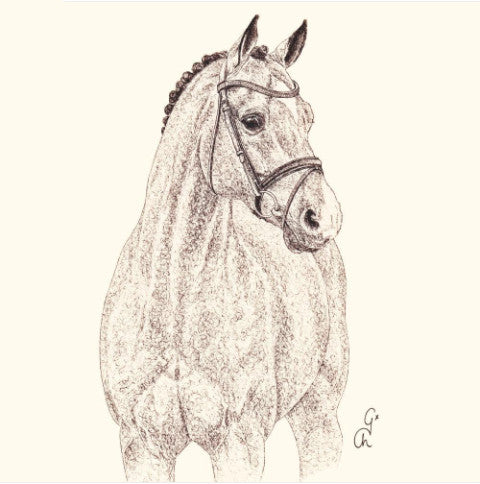 These Catoki Horse Sketch Decoupage Paper Napkins are of exceptional quality and imported from Europe. Ideal for Decoupage Crafting, DIY craft projects, Scrapbooking, Mixed Media, Art Journaling