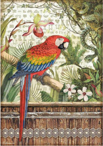 Beautiful Amazonia Parrot Stamperia A4 Rice Papers are of Exquisite Quality for Decoupage crafts. Thin yet durable. Imported from Europe