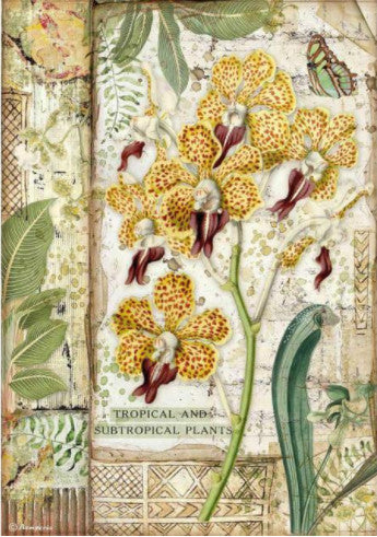 Beautiful Amazonia Orchid Stamperia A4 Rice Papers are of Exquisite Quality for Decoupage crafts. Thin yet durable. Imported from Europe