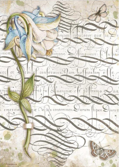 Stamperia Romantic Garden Columbin A4 Rice Papers are of Exquisite Quality for Decoupage Art. Vibrant colorful patterns. Thin yet durable. Imported from Europe. Ideal for Scrapbooking