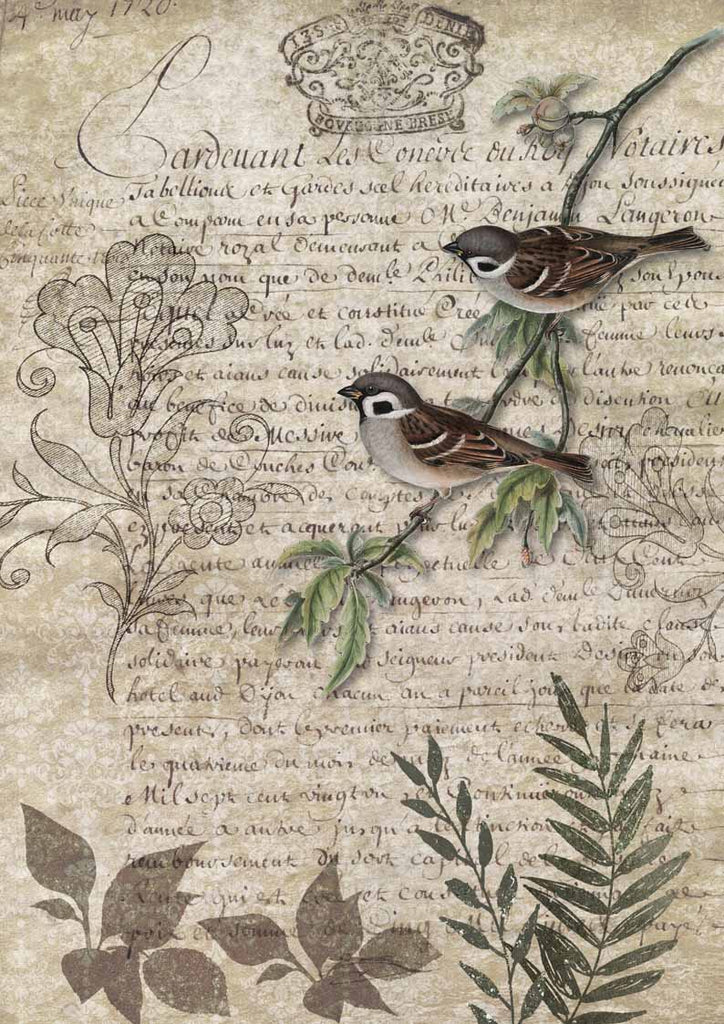 Shop Brown Birds on a Green Branch with Beige Script background  Decoupage Queen A3 Rice Paper for Decoupage