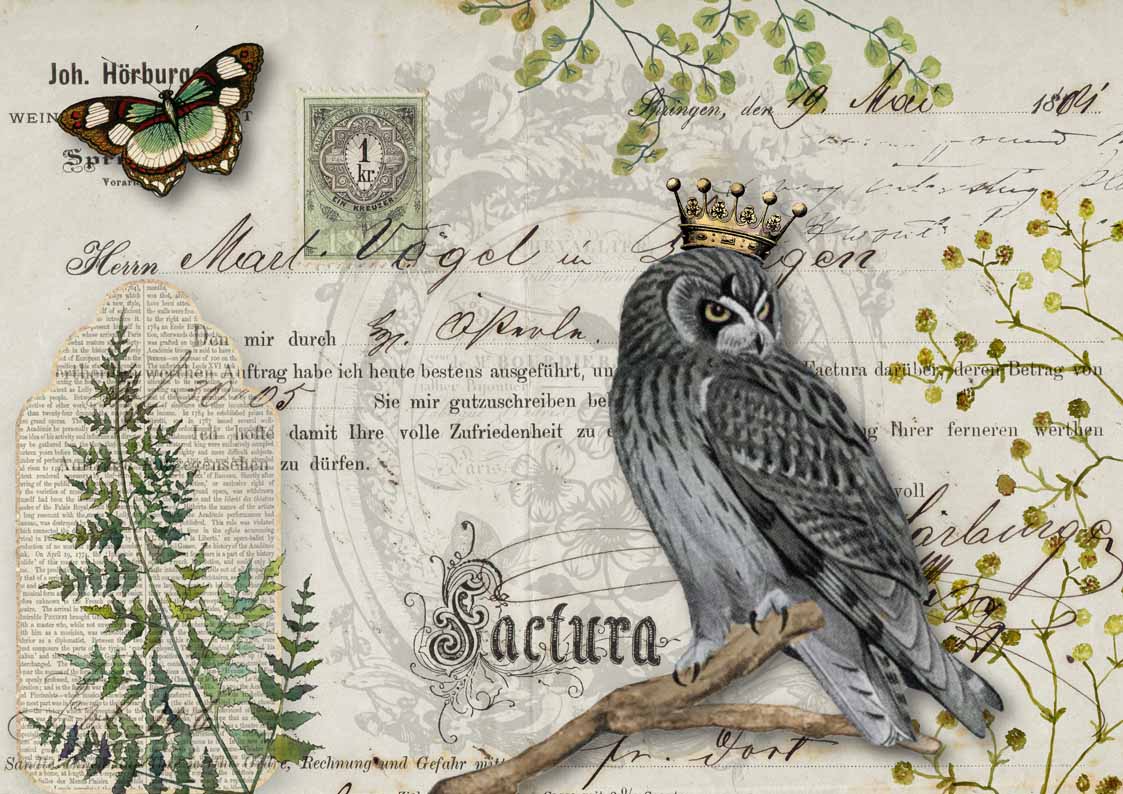 Shop Owl Botanicals Decoupage Queen A3 Rice Paper for Decoupage – Decoupage Napkins.Com shop-owl-botanicals-decoupage-queen-a3-rice-paper-for-decoupage-decoupage-napkins-com