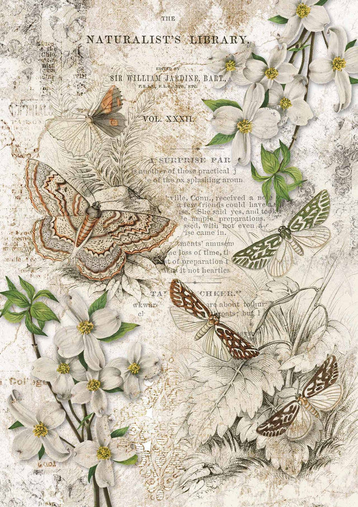 Shop White Flowers and Insects Naturalist Library Decoupage Queen A3 Rice Paper for Decoupage