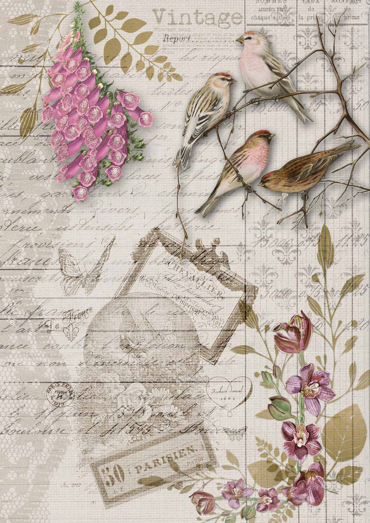 Shop Tan Birds and Pink Orchids Decoupage Queen A3 Rice Paper for Decoupage