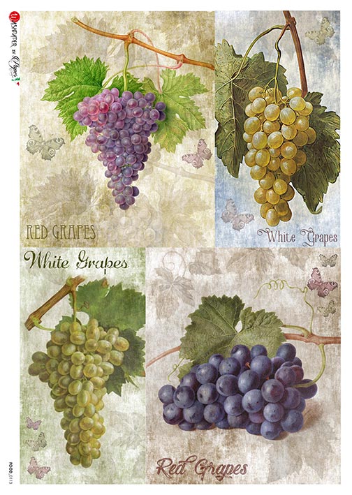 This Beautiful green and purple Bunches of Grapes A5 Rice Paper is of Exquisite Quality for Decoupage crafts. Thin yet durable. Imported from Europe