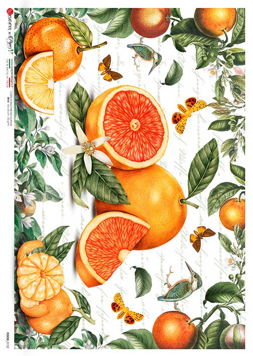 Oranges and butterfly European Paper Designs Italy Rice Paper is of exquisite Quality for Decoupage art