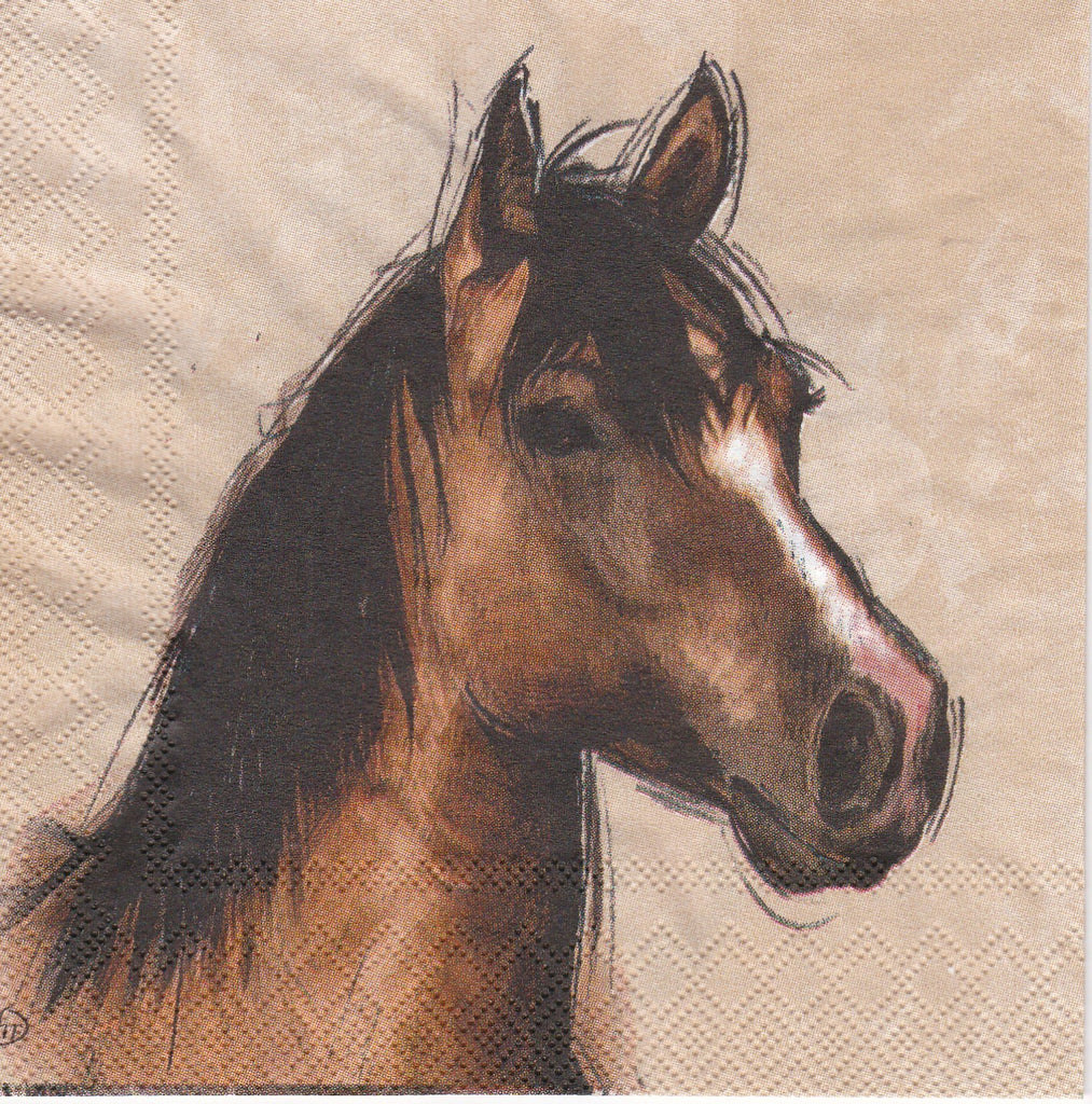 Beautiful Decoupage Napkin for Crafting and Scrapbooking