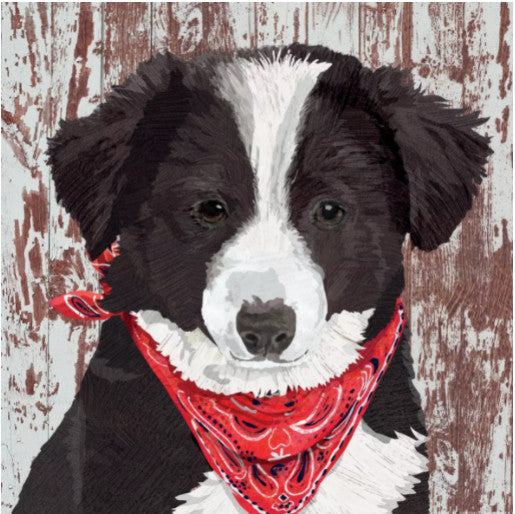 Shop Melvin Dog Decoupage Paper Napkins are of exceptional quality and imported from Europe. This makes them ideal for Decoupage Crafting, DIY craft projects, Scrapbooking