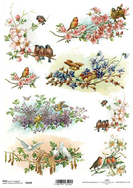 3 Decoupage Napkins, Apples and Birds, Leafy Papers, Bird on a Branch  Papers, Decorative Napkin, Collage Paper, Decoupage Supplies