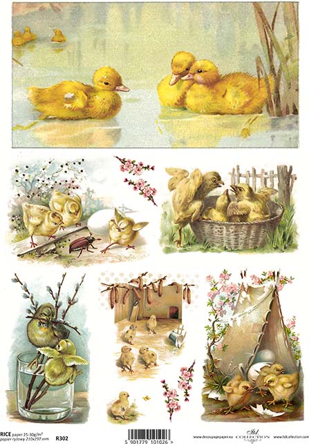 Shop Farm Ducks in Pond ITD Collection Rice Paper for Crafting, Scrapbooking, Journaling, Cardmaking