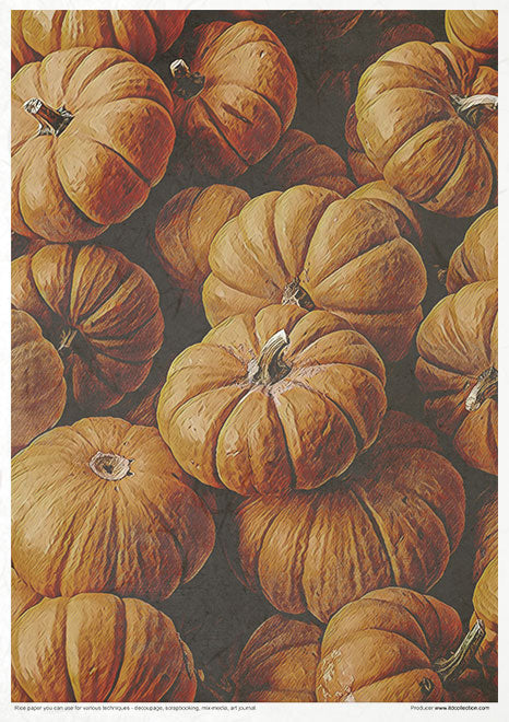 Orange A4 Sheet, Pumpkin Orange, Paper