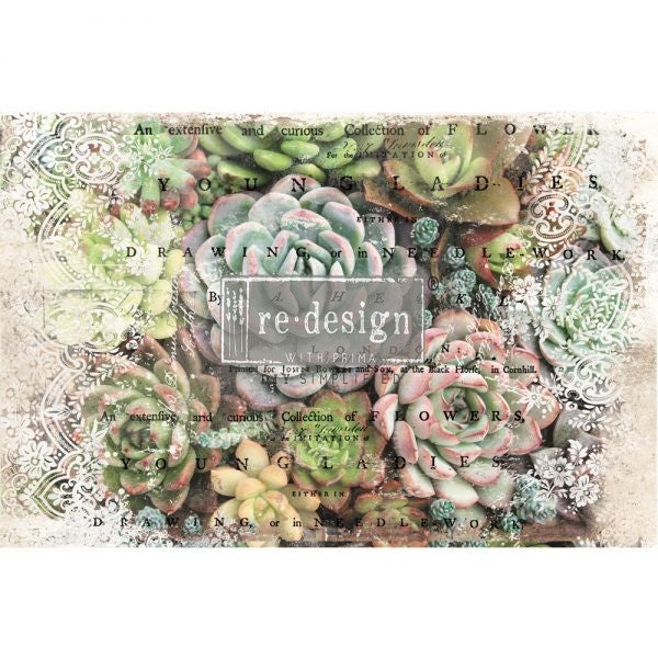 Colorful succulents. ReDesign with Prima Décor Tissue Paper for Decoupage